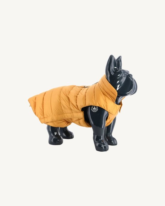 Doudoune Jott New In Moutarde Dogs Woop