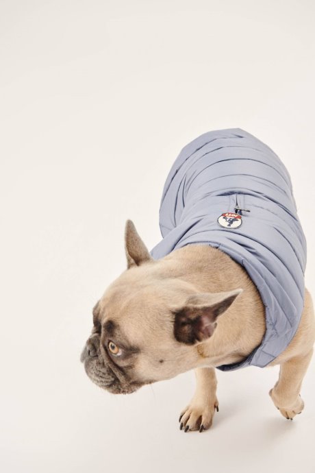 Doudoune Bleu Delave Dogs Woop Jott