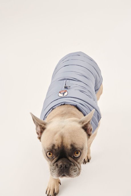 Doudoune Bleu Delave Dogs Woop Jott