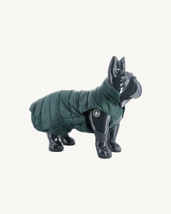 Doudoune Jott New In Vert Fonce Dogs Woop
