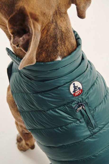 Doudoune Jott New In Vert Fonce Dogs Woop