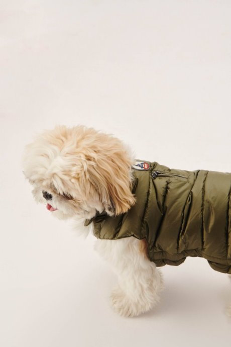 Veste En Duvet Pour Chiens De L'armée Woop Jott