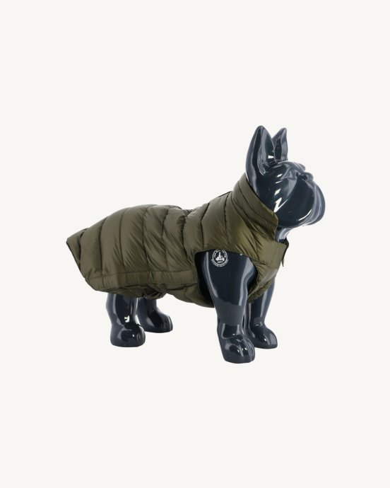 Veste En Duvet Pour Chiens De L'armée Woop Jott