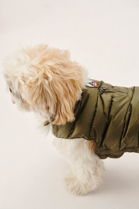 Veste En Duvet Pour Chiens De L'armée Woop Jott