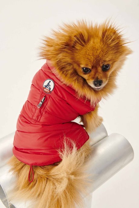Doudoune Jott New In Rouge Dogs Woop