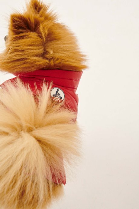 Doudoune Jott New In Rouge Dogs Woop