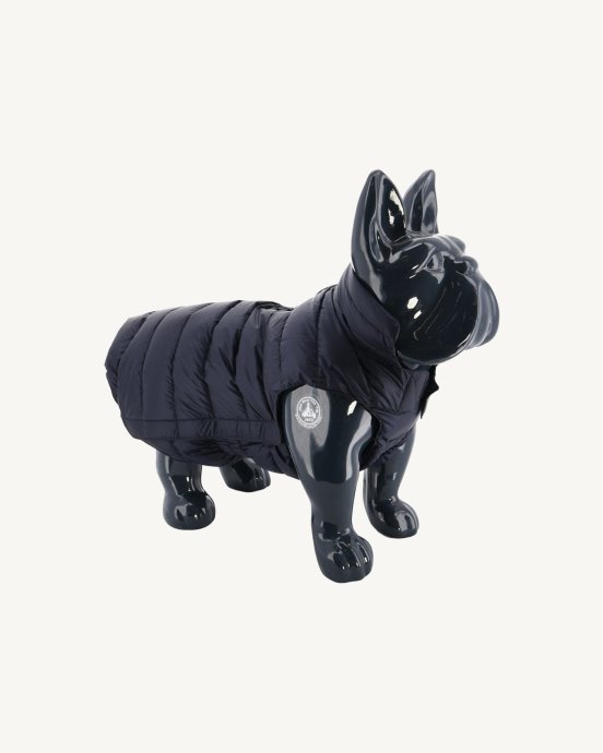 Doudoune Jott New In Navy Pour Chiens Woop