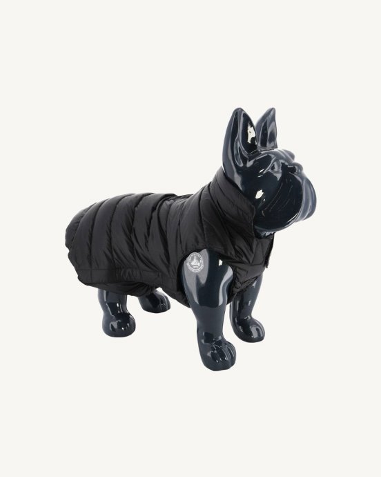 Doudoune Noire Pour Chiens Woop Jott
