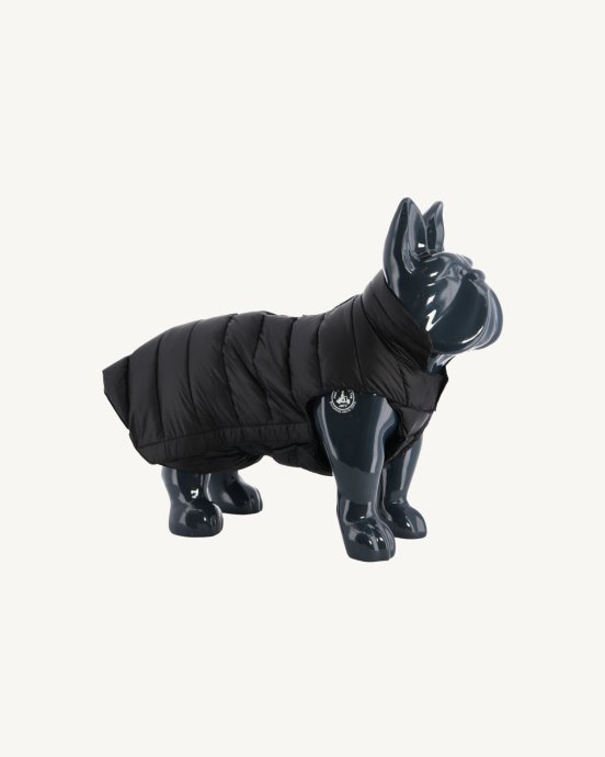 Doudoune Noire Pour Chiens Woop Jott